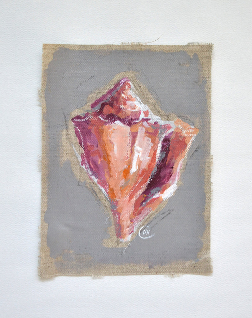 Seashell Study - Athena