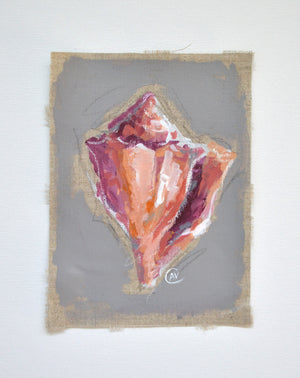 Seashell Study - Athena