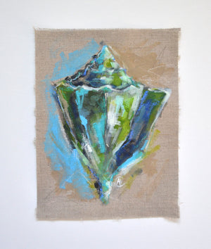 Seashell Study - Discovery