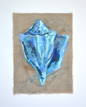 Seashell Study - Gulf