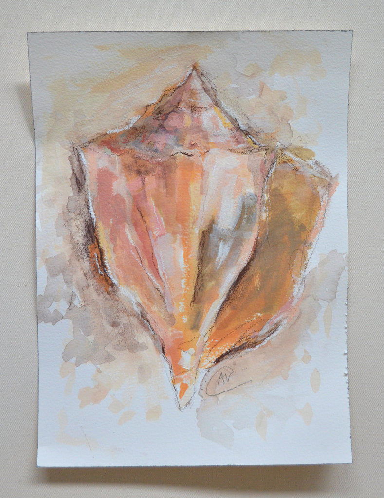 Seashell Study - Contour Blush