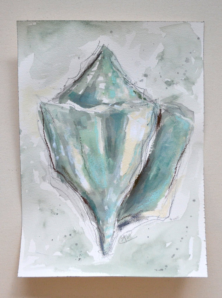 Seashell Study - Contour Sea