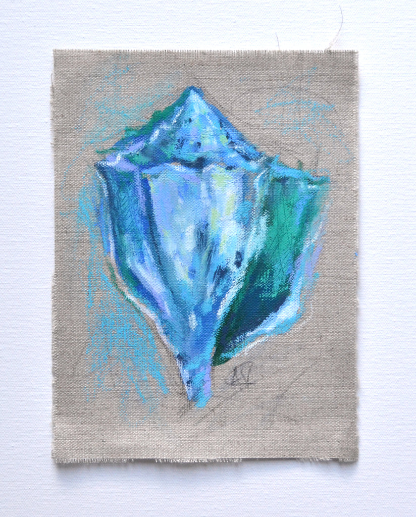 Seashell Study - Shallows