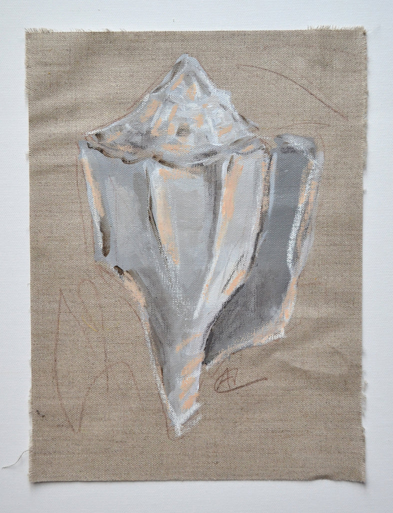 Seashell - Ash