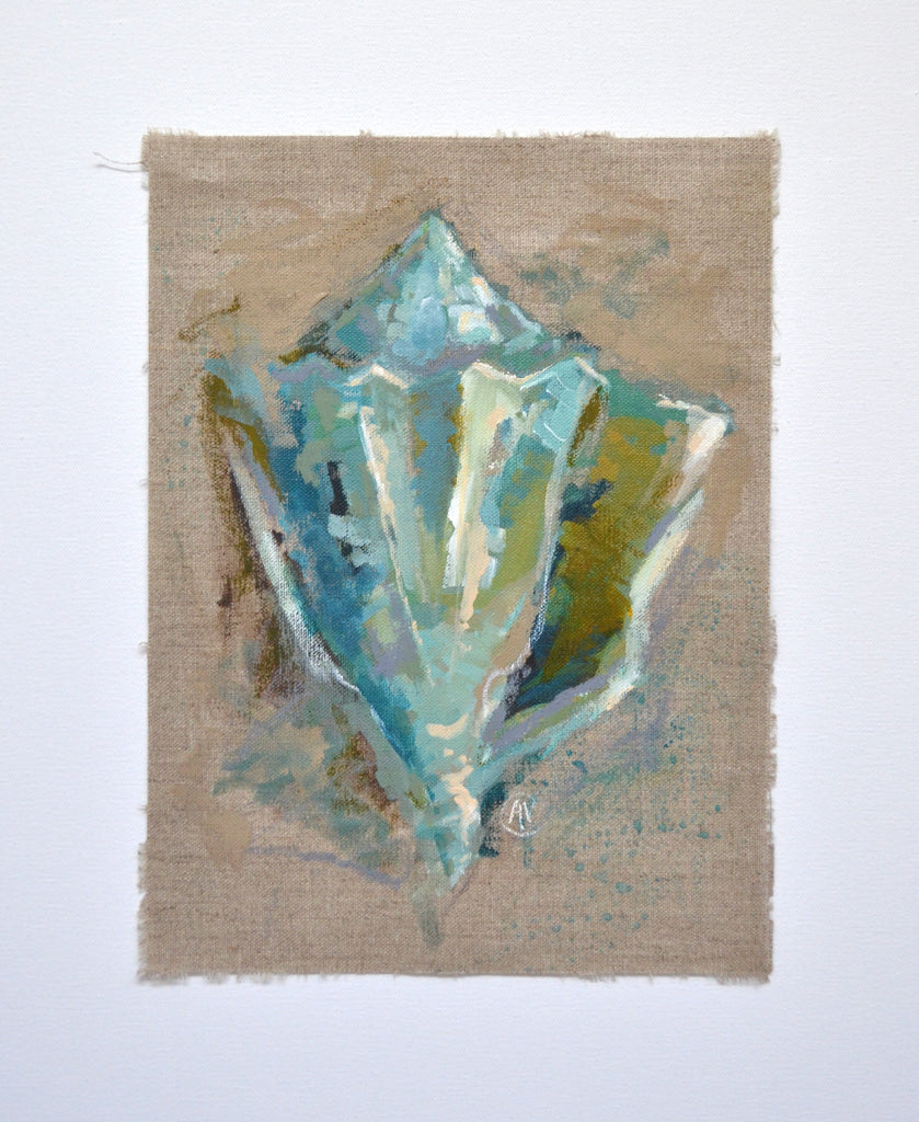 Seashell Study - Cool