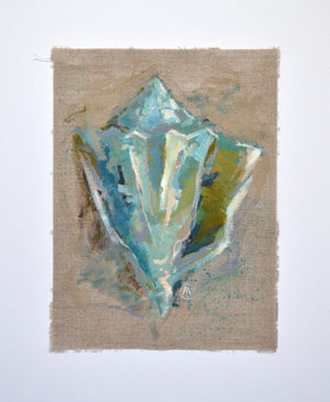 Seashell Study - Cool